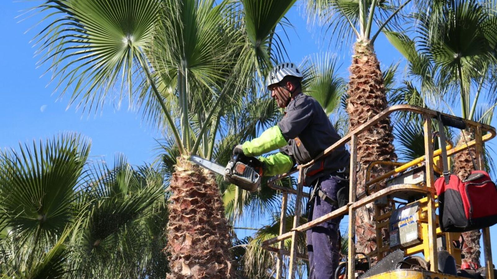 Trabajos en Almuñécar.
