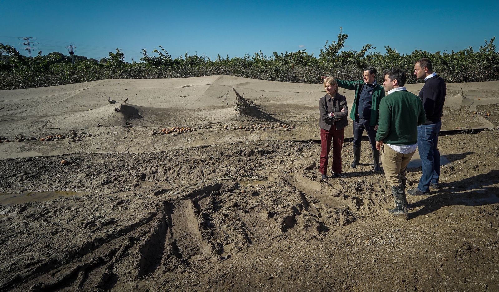 Imágenes de la visita de Juanma Moreno y el comisario europeo de Agricultura a los campos afectados por el temporal en Jerez