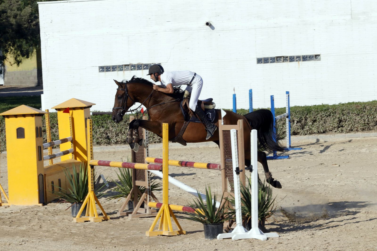 Fotogalería del XLV Concurso Nacional de Salto de Obstáculos