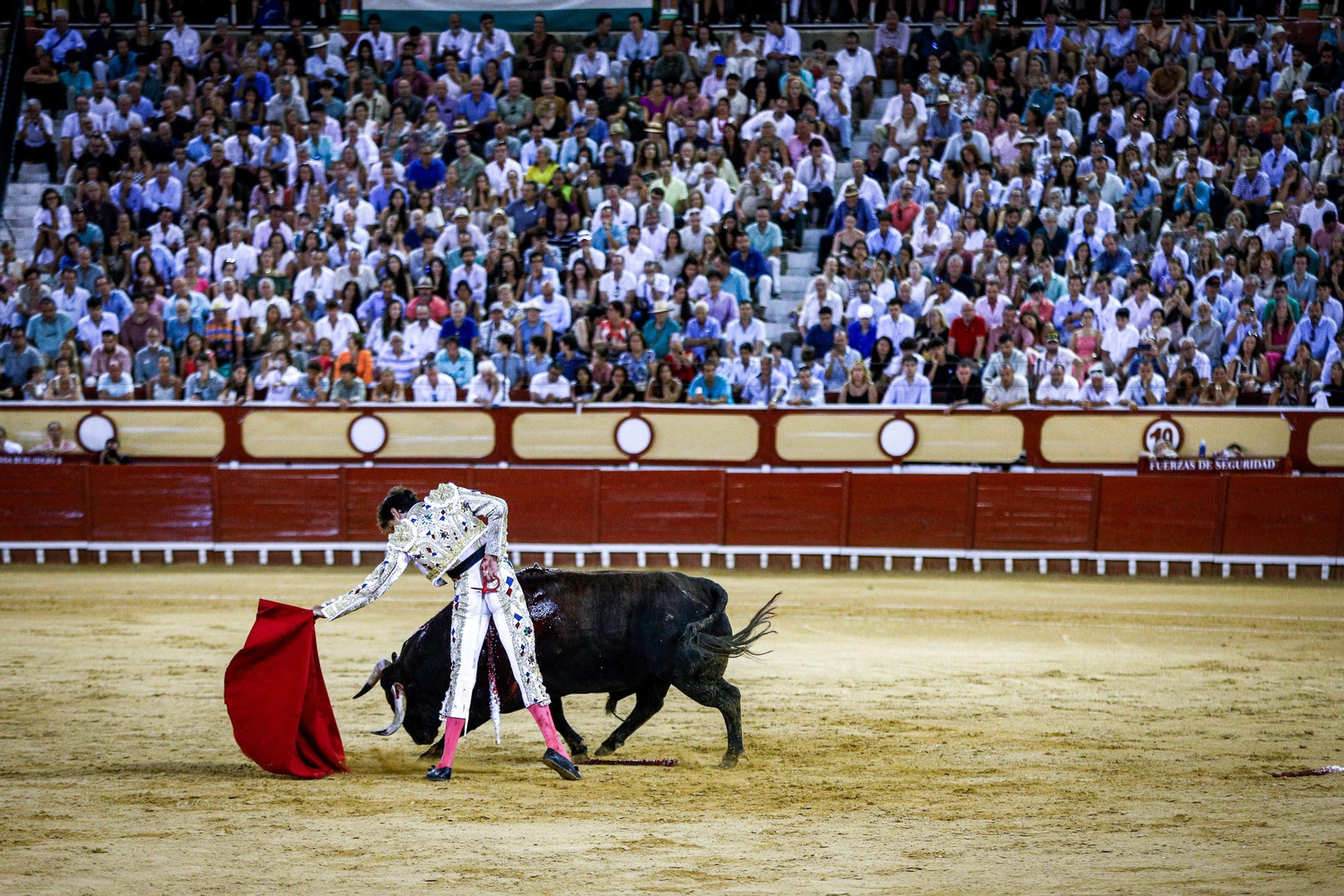 Imágenes de la corrida de toros en El Puerto: Manzanares, Roca Rey y Pablo Aguado
