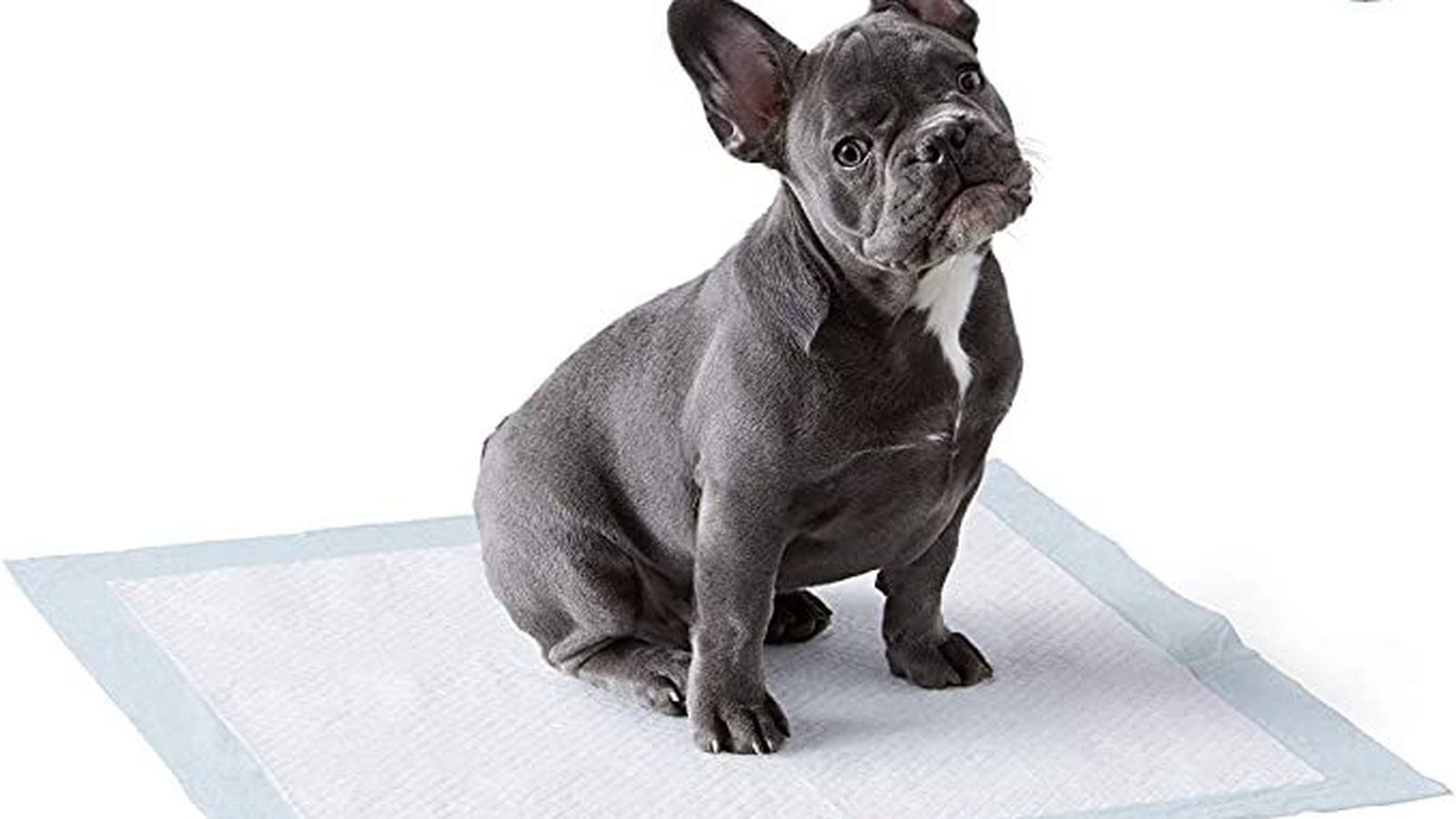 Toallitas de entrenamiento