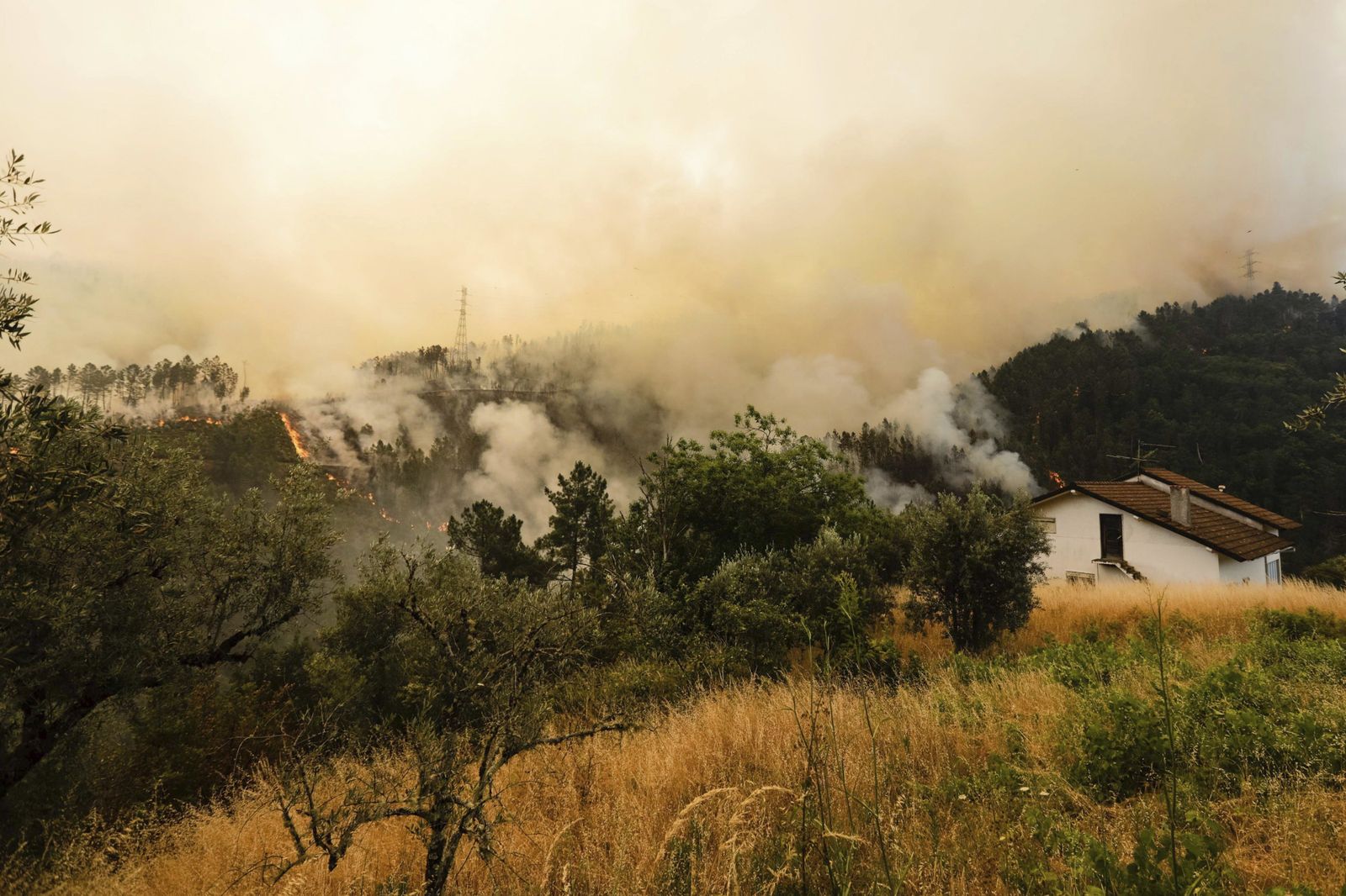 Vista del humo y las llamas cerca de las viviendas  en Gois.