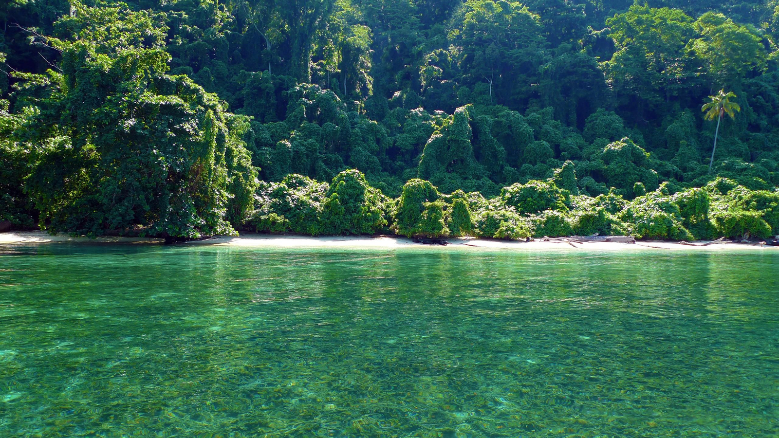 Las aventuras que ofrece Docastaway