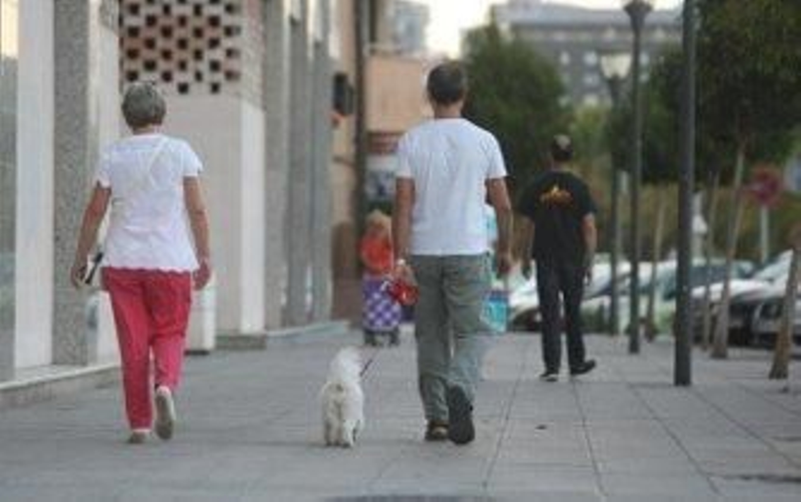 Nace una asociación para concienciar e integrar a los perros en Algeciras