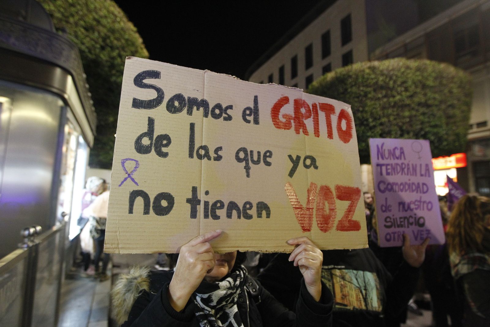 Manifestación Día Mundial contra la Violencia de Género. Almería