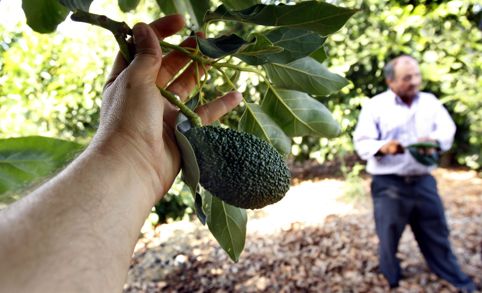 Almería vende un 49,3% más.