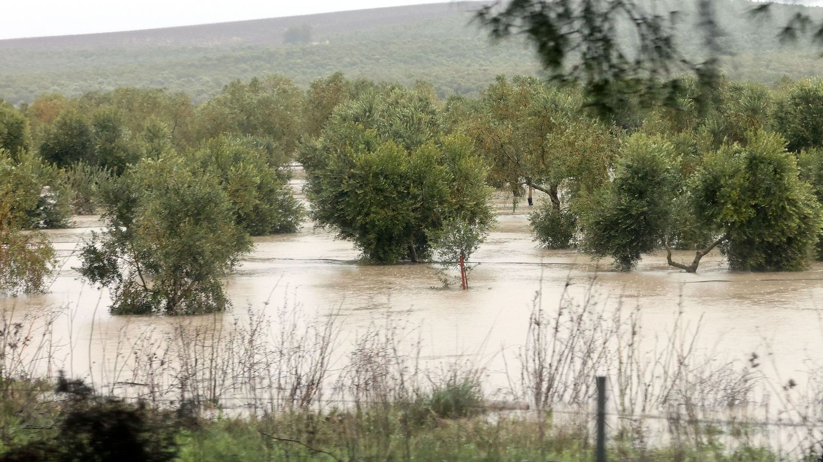 Imágenes del paseo rural por Jerez en el estreno de la borrasca Marta