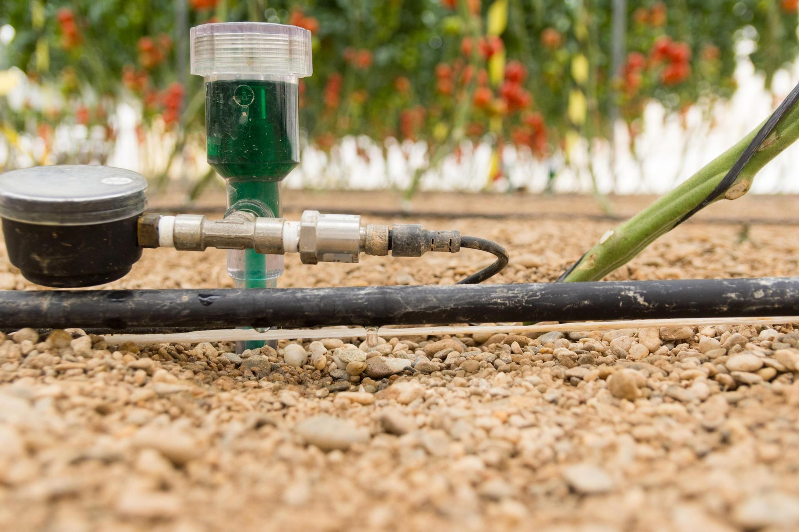 Los asistentes discutieron sobre la rentabilidad del uso de herramientas microbiológicas para la sostenibilidad del suelo.