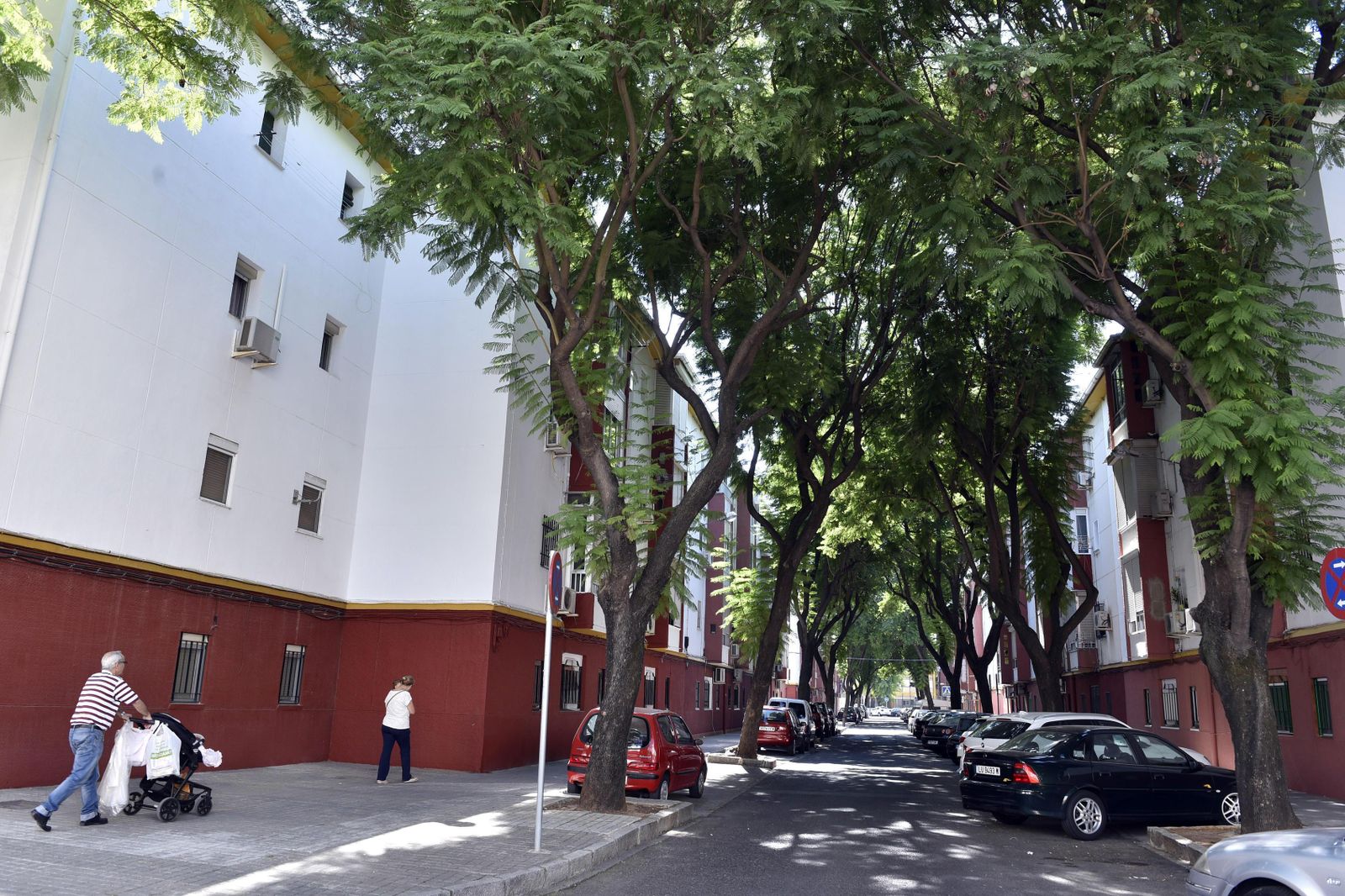La calle principal de la barriada del Carmen, con unas jacarandas que se plantaron antes de la Expo.