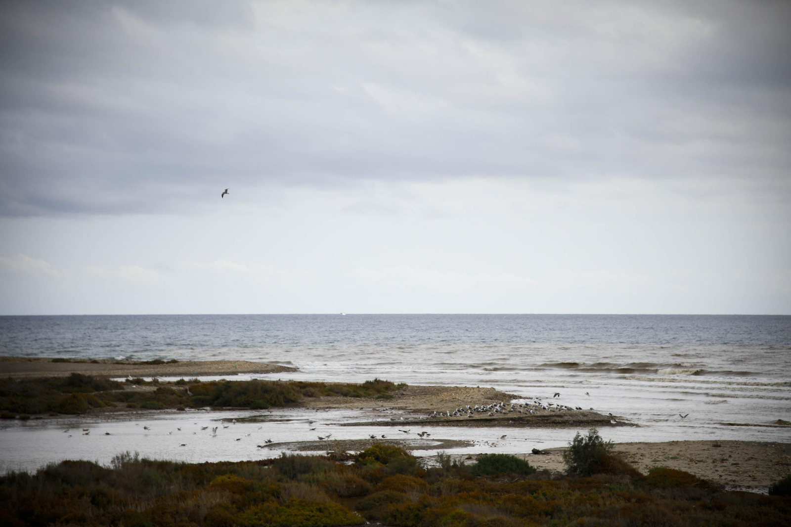 La desembocadura del río Andarax, en imágenes