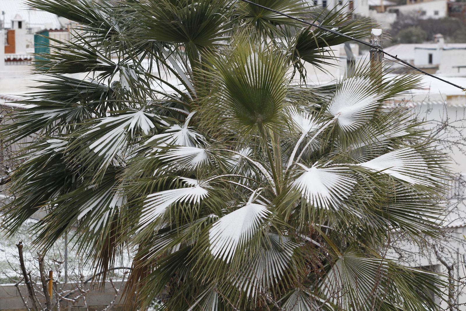 Las imágenes de la ola de frío siberiano