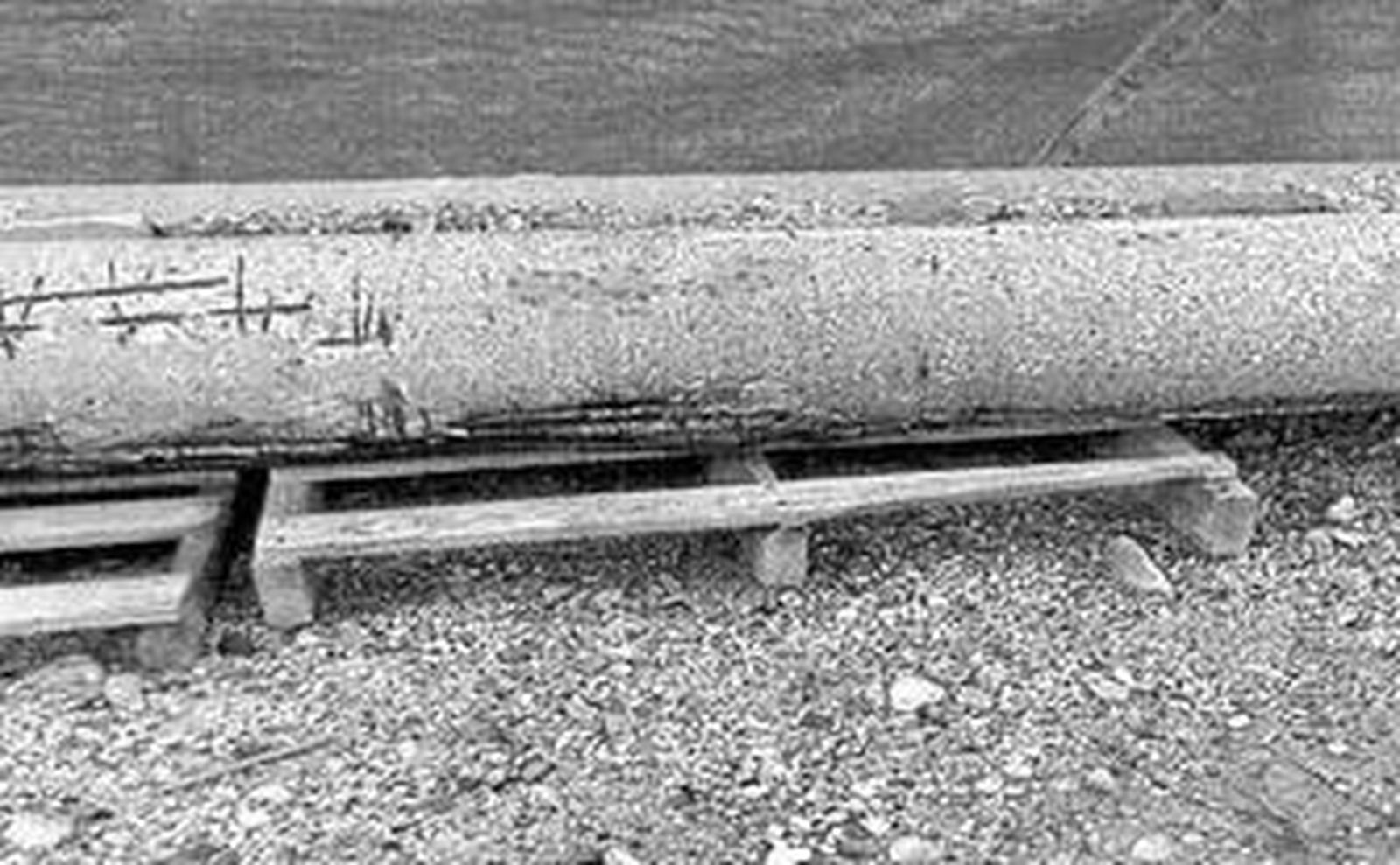 Imagen de los postes del Campo Neutra, en la obra de Reina Sofía.