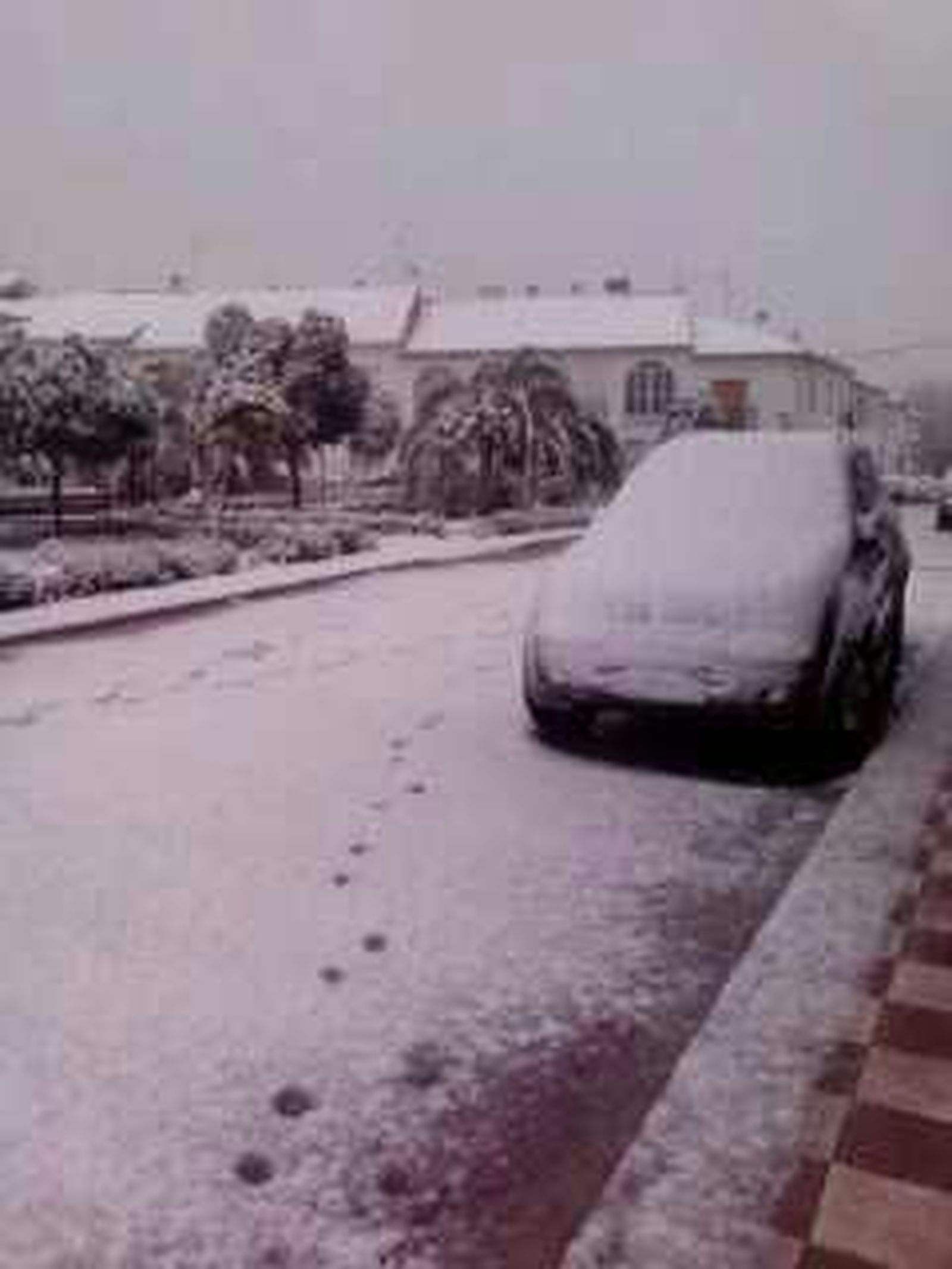 Montilla

Foto: El Día