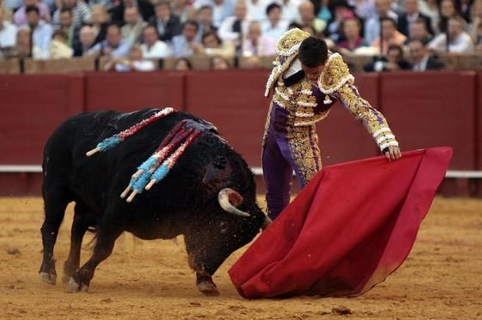 Manzanares con el quinto toro.

Foto: Juan Carlos Muñoz