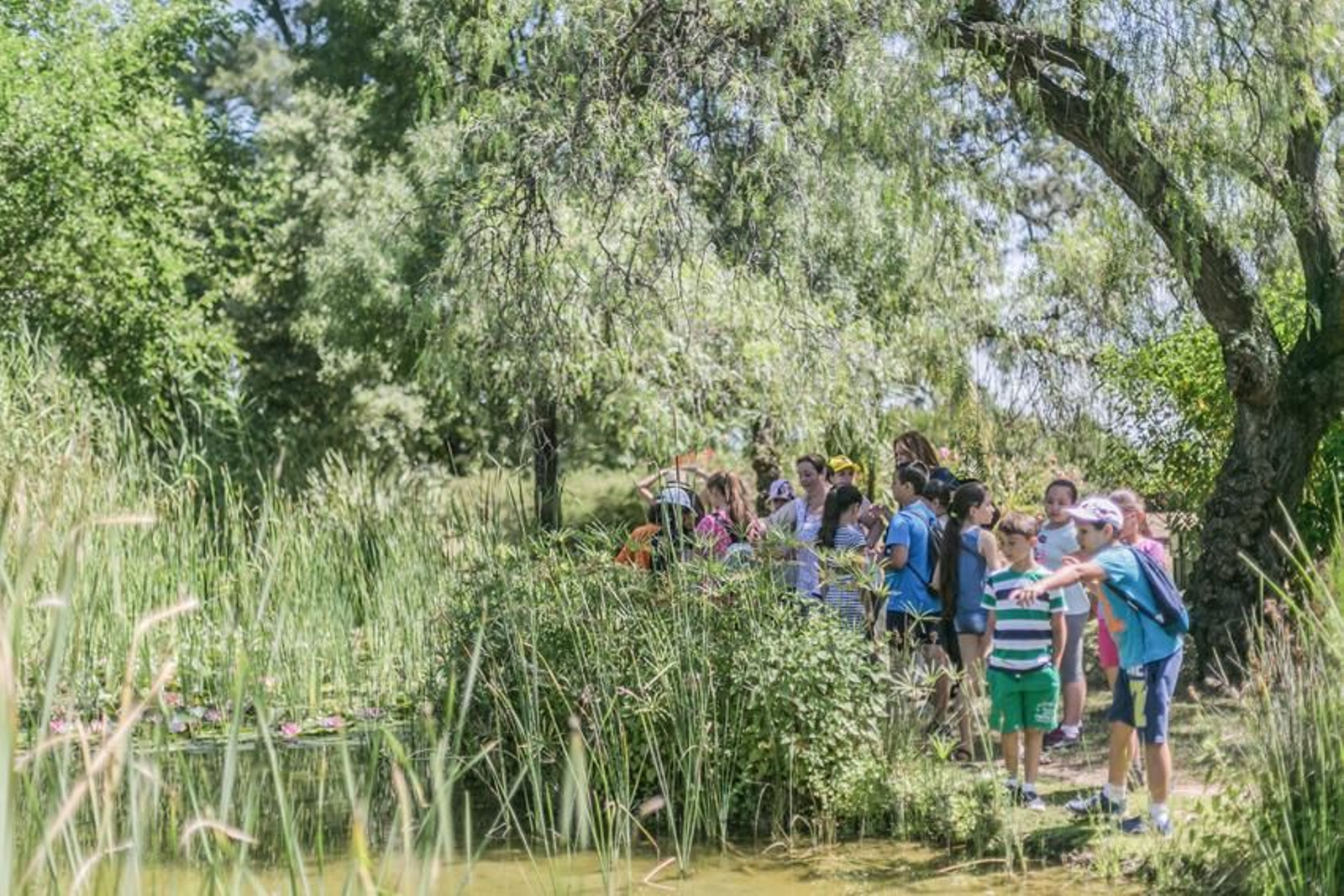 Los niños protagonizan las actividades del Día Mundial de Medio Ambiente.