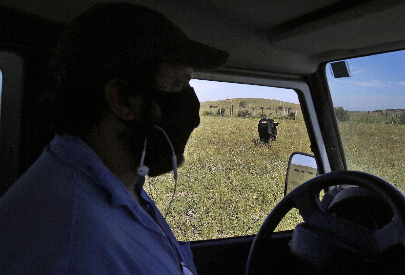 Mas cornadas da el virus, visita a la ganadería de Nuñez La Palmosilla