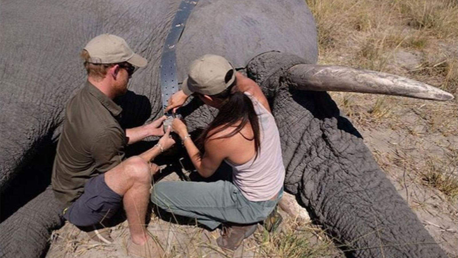 La pareja, con un elefante en Botswana, en una imagen publicada el viernes de cuando eran novios.