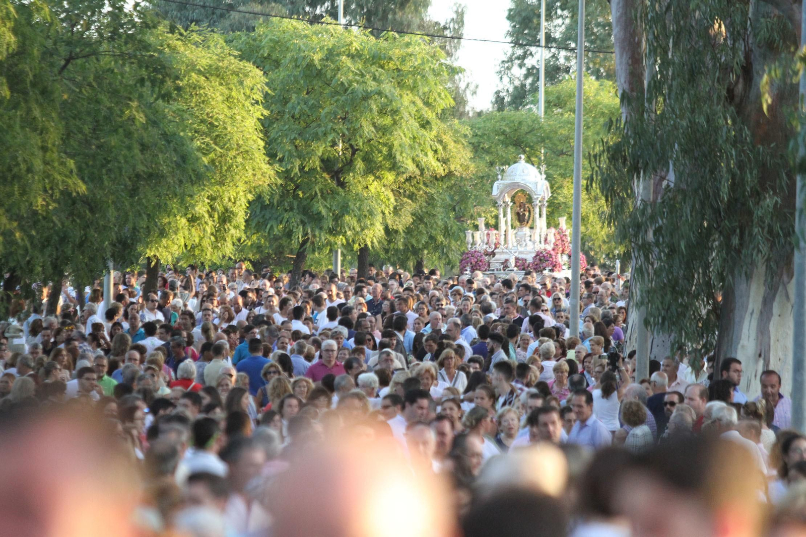 Imágenes de la bajada de La Cinta a la Catedral de La Merced