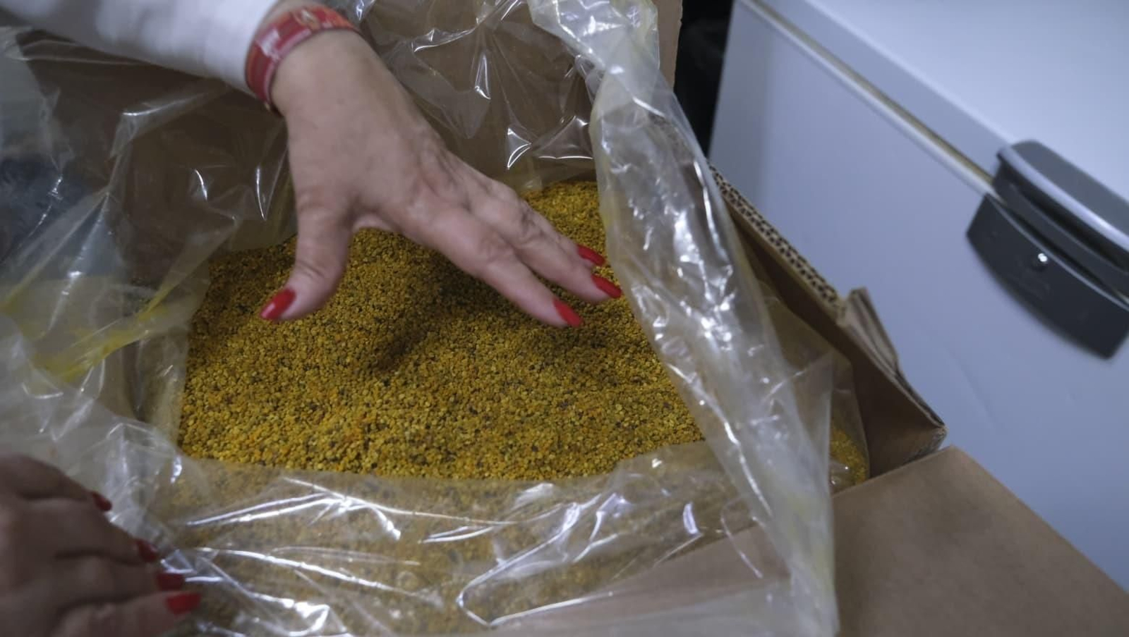 La industria auxiliar, pilar básico de la agricultura almeriense