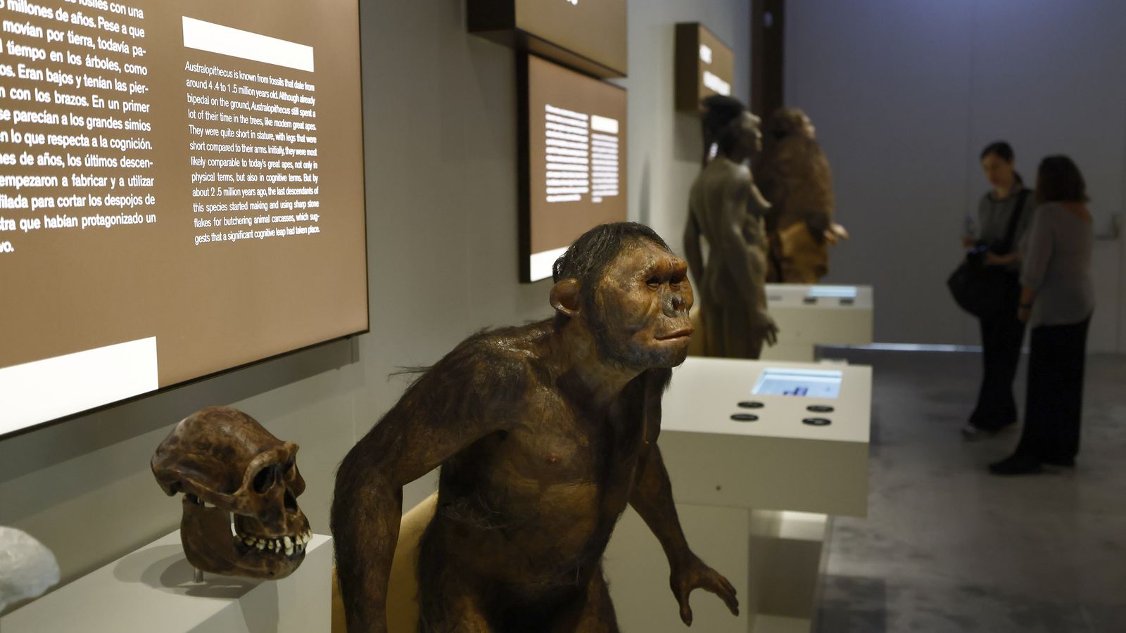 Las imágenes de la exposición interactiva “Talking Brains”