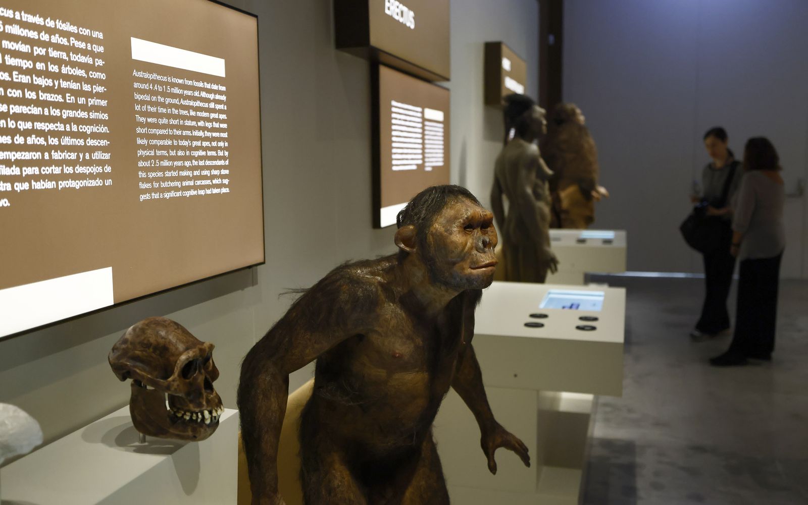 Las imágenes de la exposición interactiva “Talking Brains”