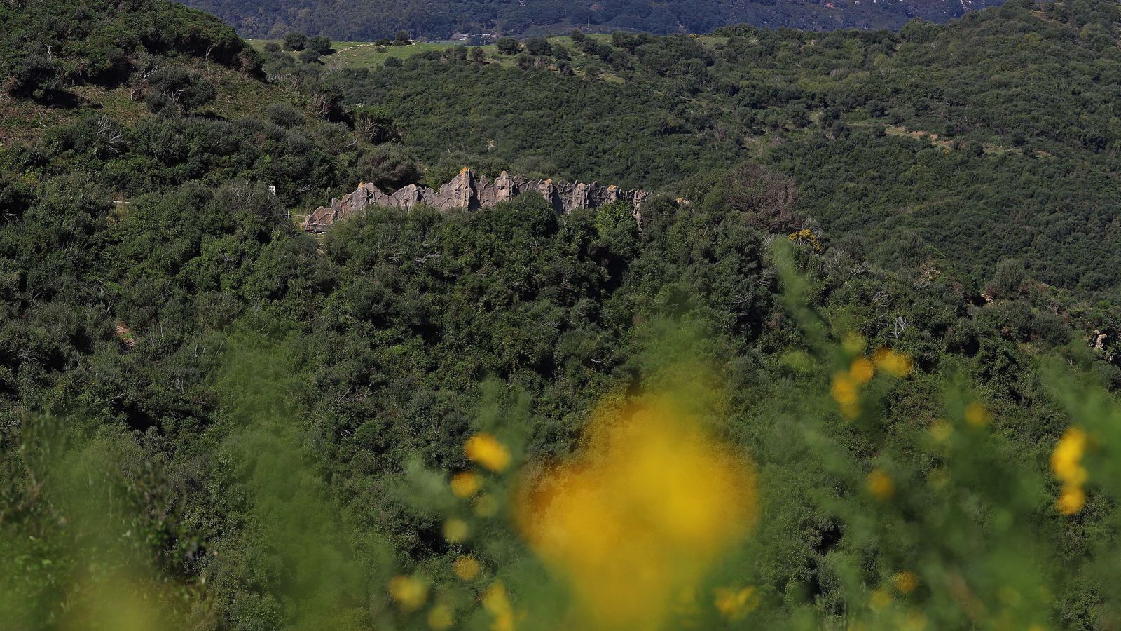 Carretera de Las Pantallas en Algeciras