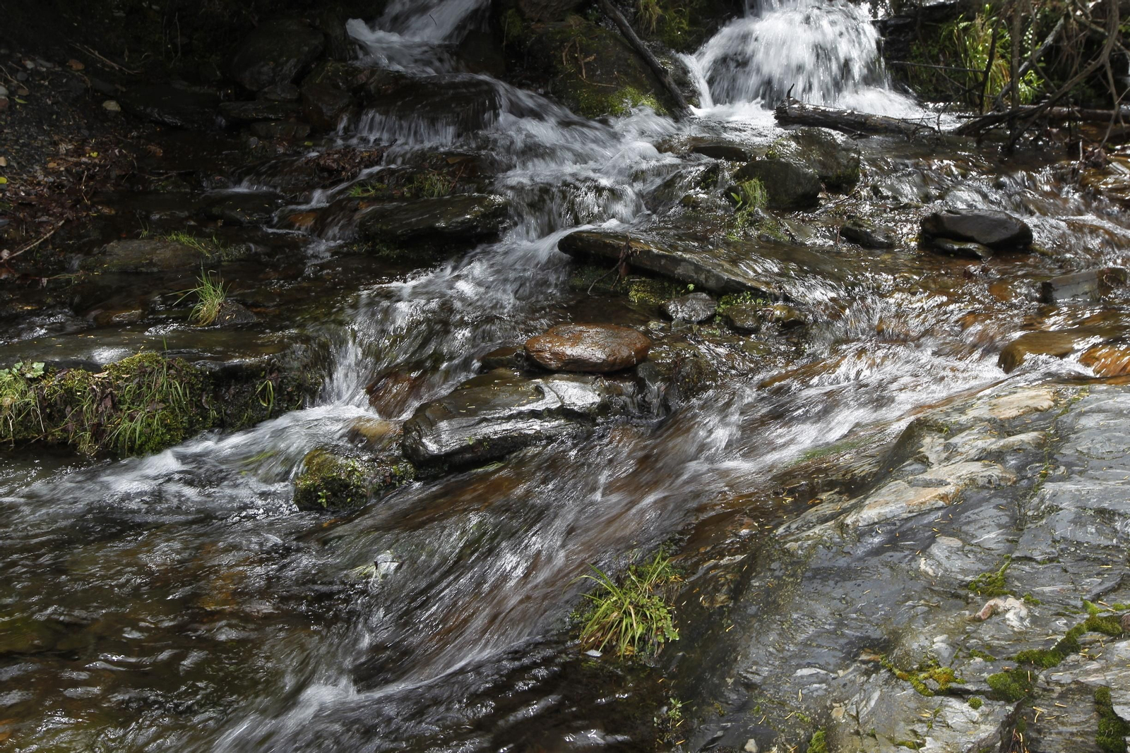 Naturaleza desconfinada. La Roza (Abrucena)