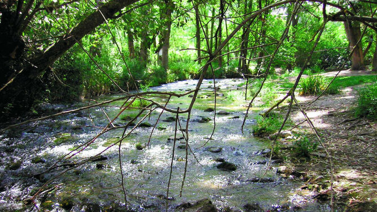 Arroyo y senderos en la provincia de Cádiz.
