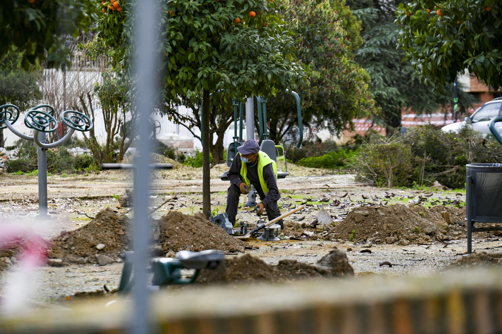 Fotos: así ha quedado la Plaza Escultor López Burgos tras otra poda en Granada