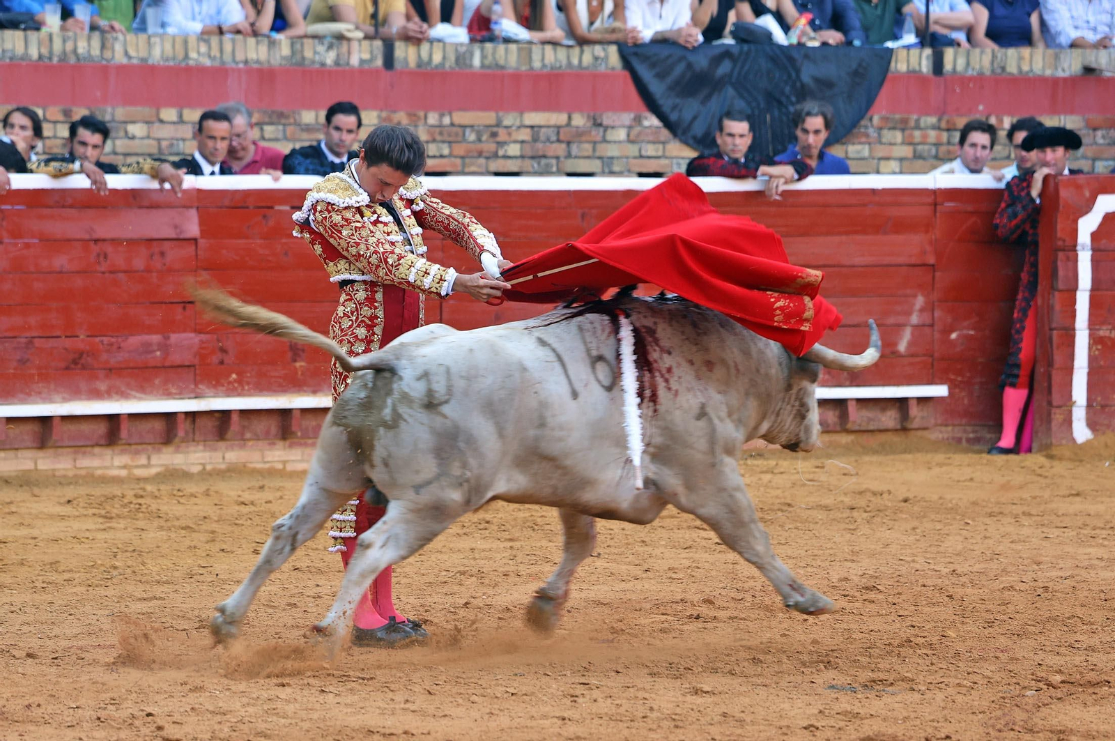 Toros La Merced: Imágenes de la corrida de David de Miranda, Roca Rey y Manzanare
