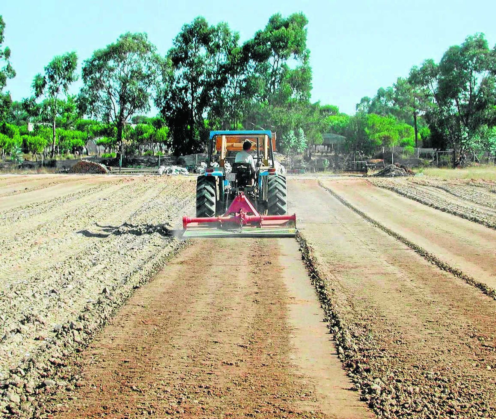 Labores de abonado en una finca próxima a la capital onubense.