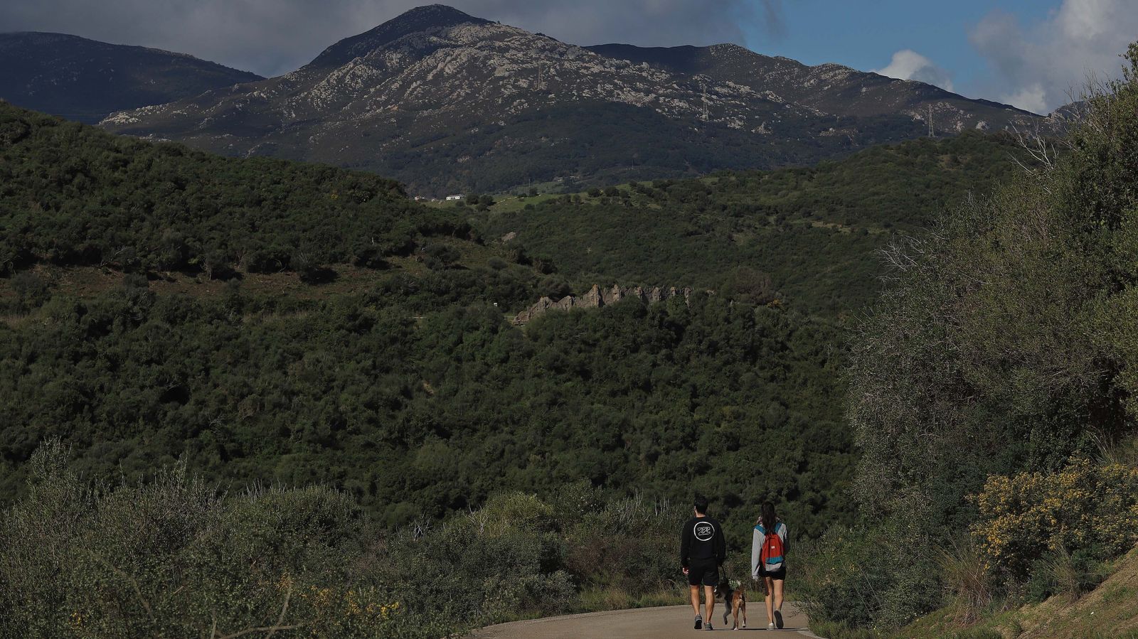 Carretera de Las Pantallas en Algeciras