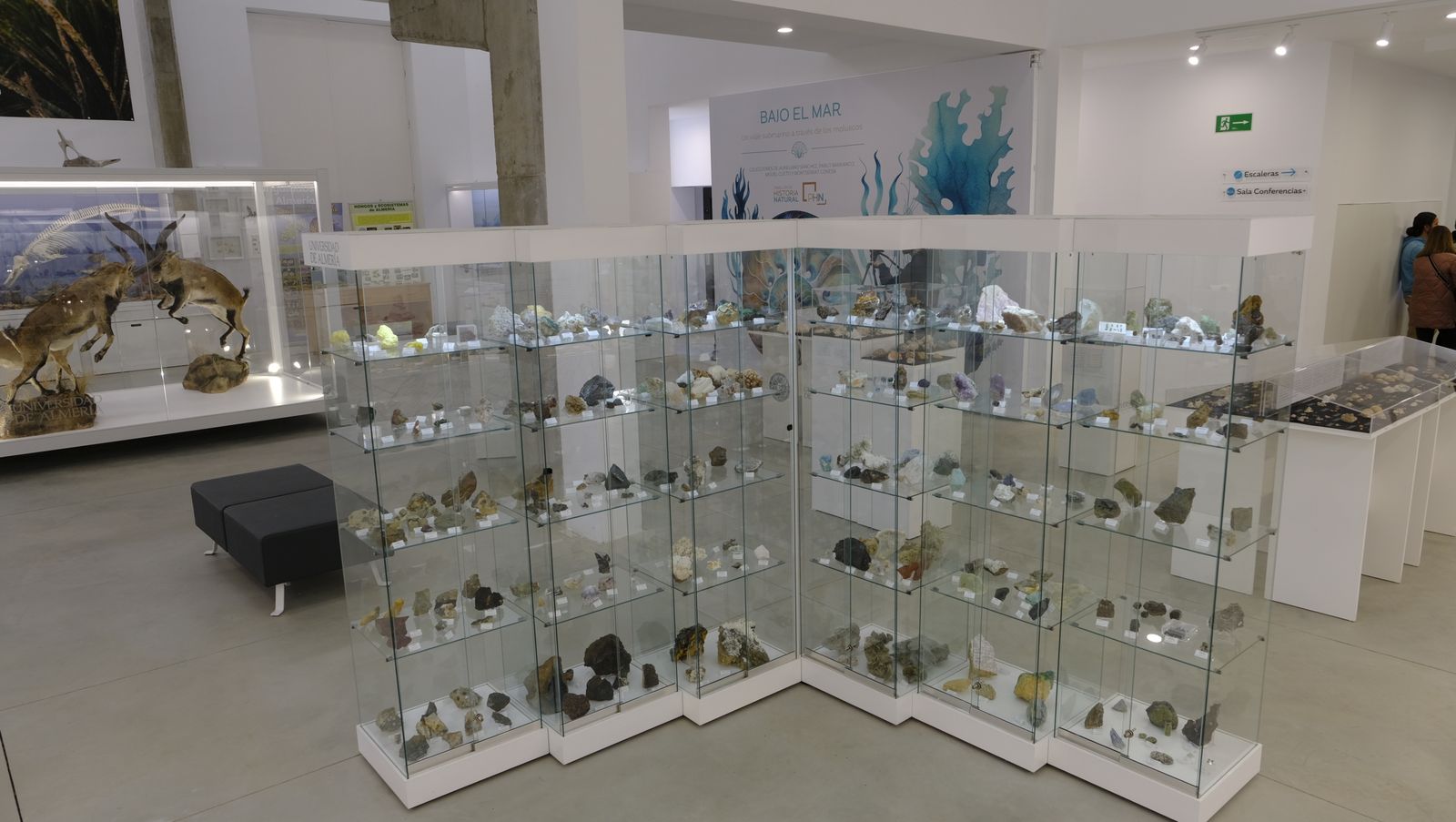 Las mejores imágenes del Pabellón de Historia Natural de la UAL