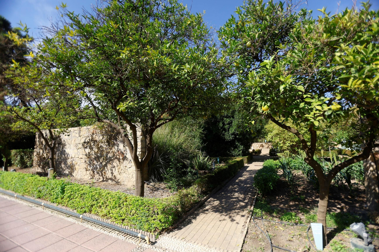 Un paseo en imágenes por el Real Jardín Botánico de Córdoba
