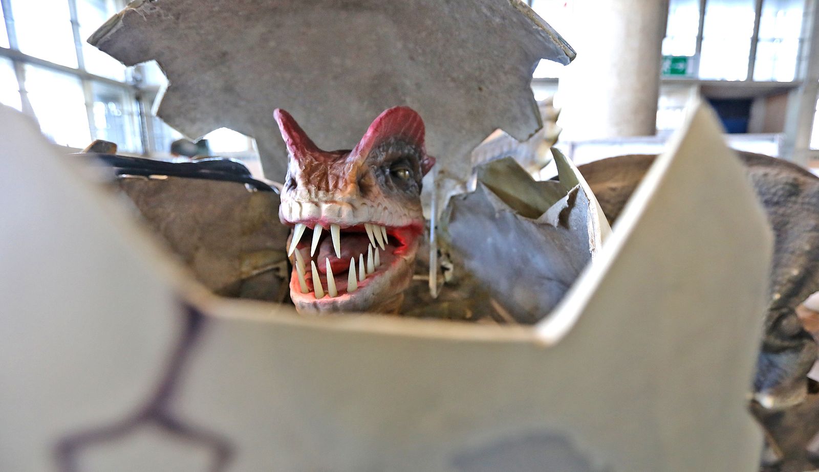 Imágenes del montaje de la mayor exposición de dinosaurios animatrónicos