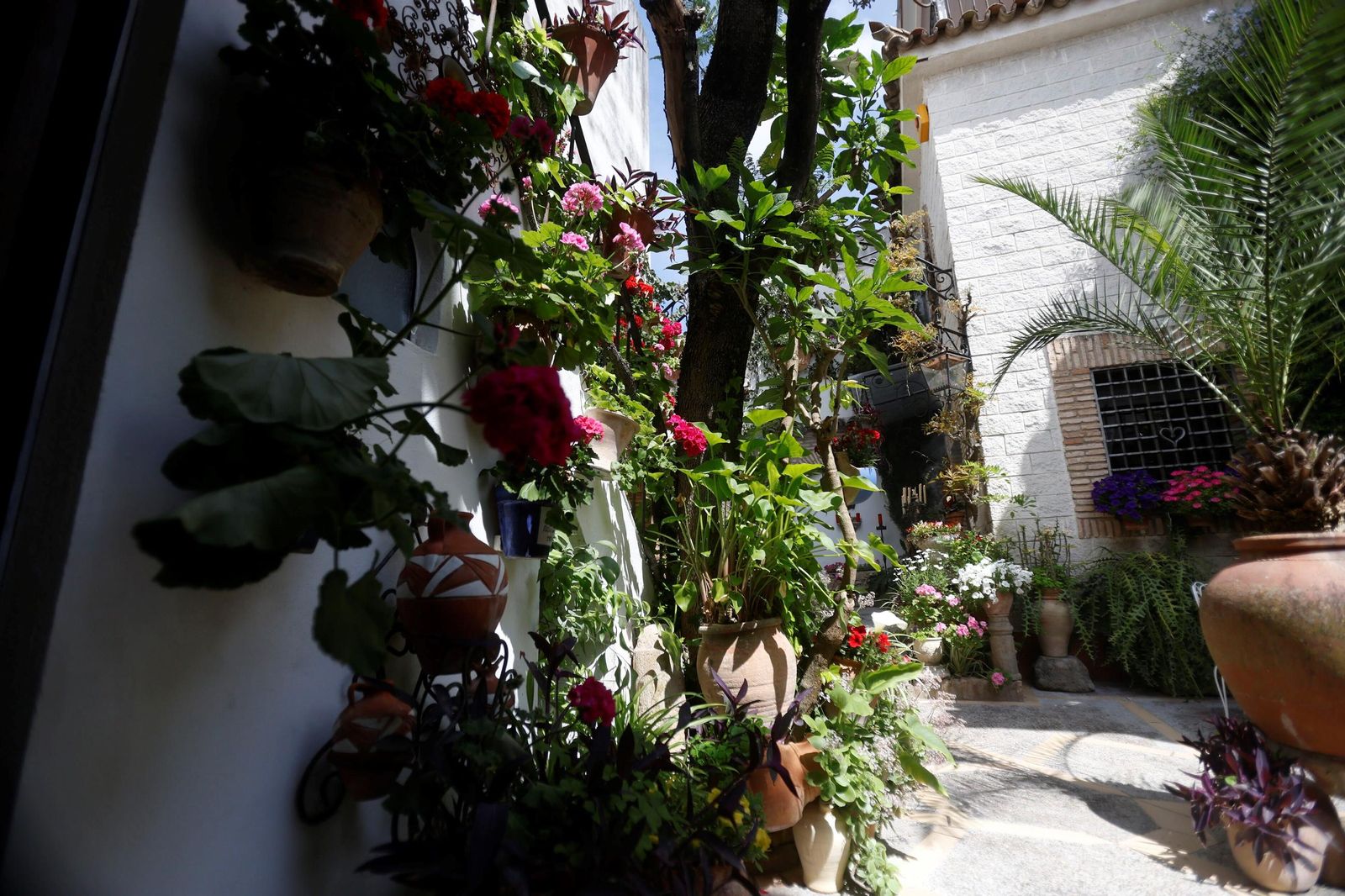 Los Patios de Córdoba que abren este Viernes Santo, en imágenes