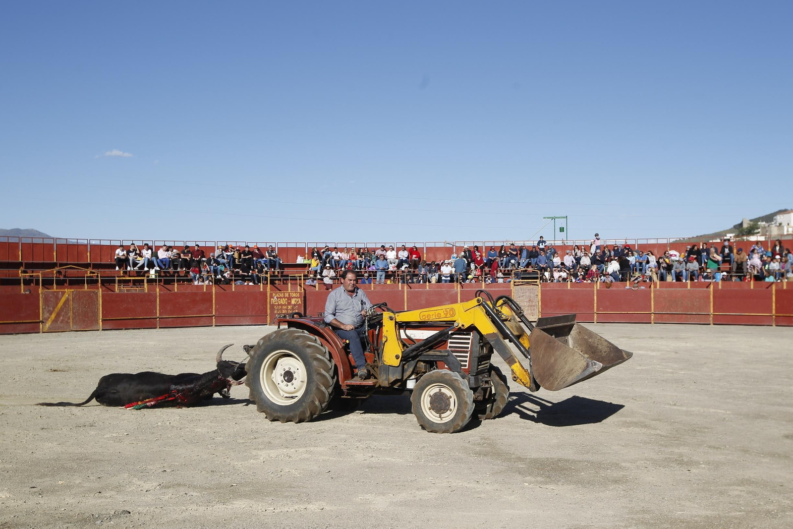 Fotogalería Novillada Fiestas de Abrucena