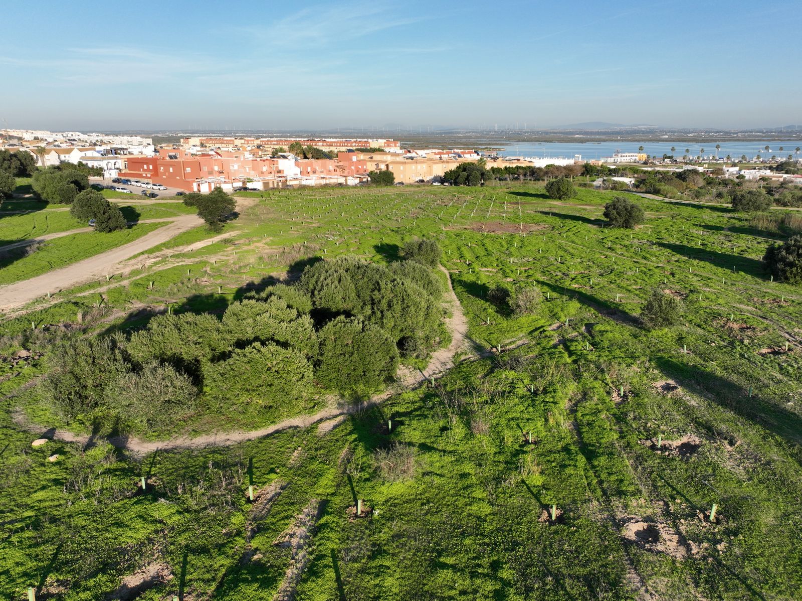 Navantia impulsa su Estrategia de Sostenibilidad