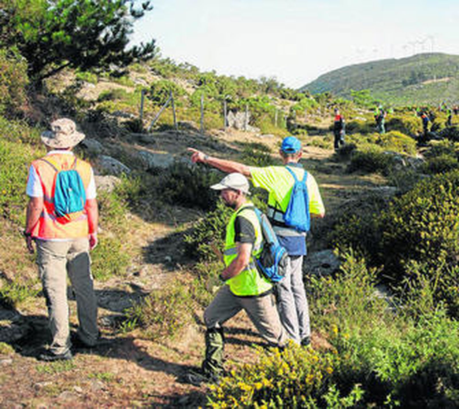 Voluntarios rastrean el pico de A Curota durante la jornada de ayer.