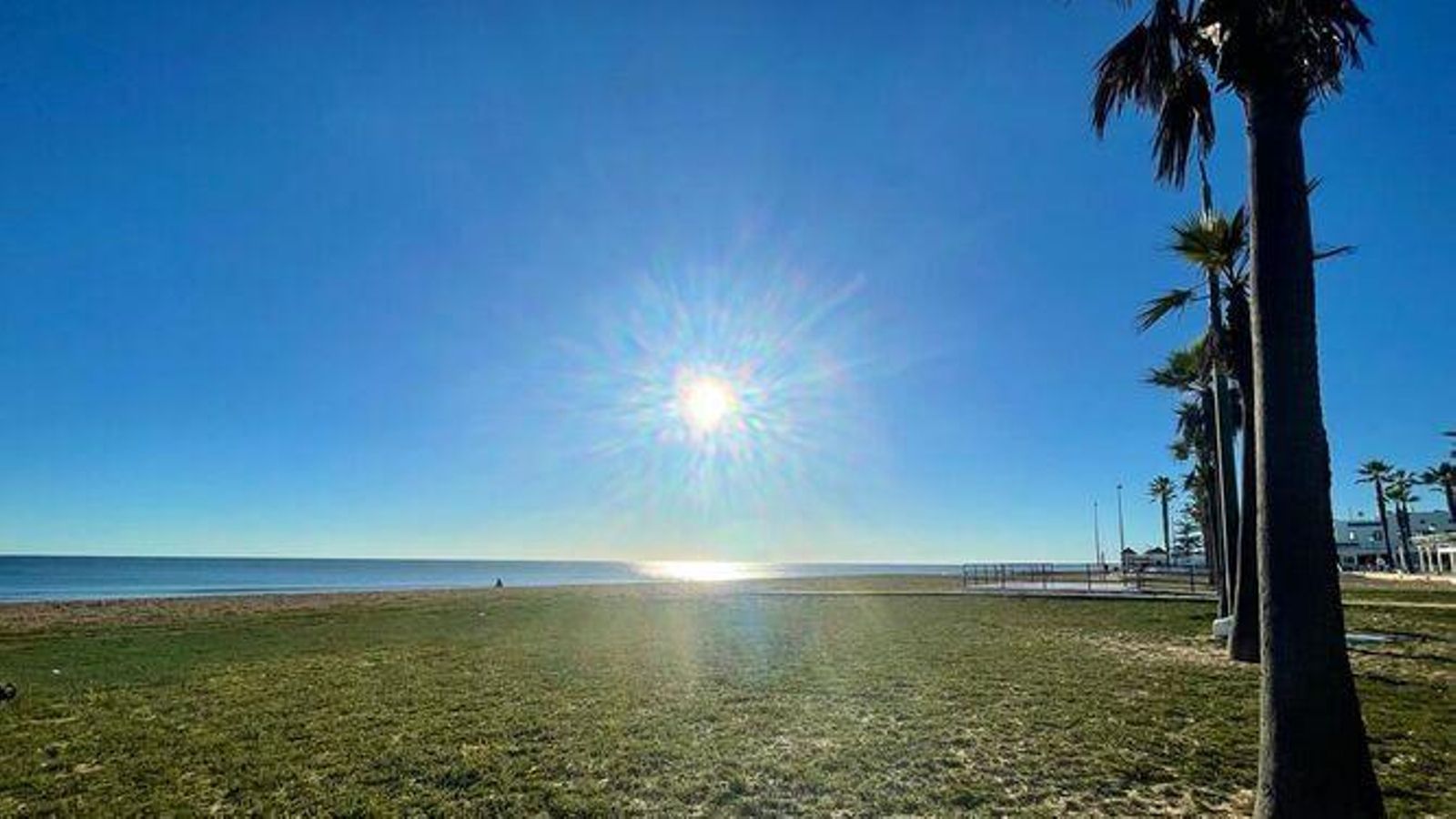 La playa de Huelva que se ha plagado de césped por las lluvias