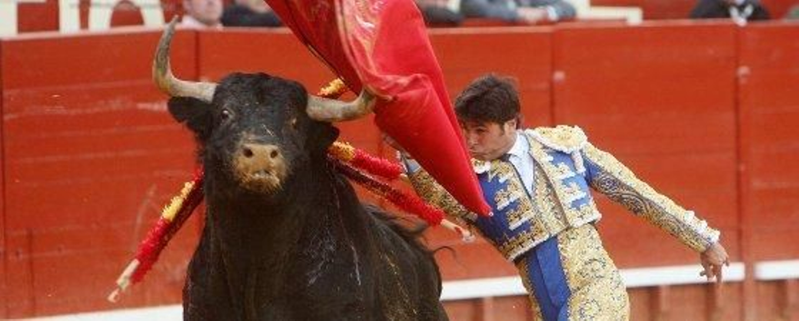 Rivera Ordóñez, más de lo mismo. Tampoco tuvo opciones con su descastado lote. Tan sólo destacó en el tercio de banderillas a su primero.

Foto: Juan Carlos Toro