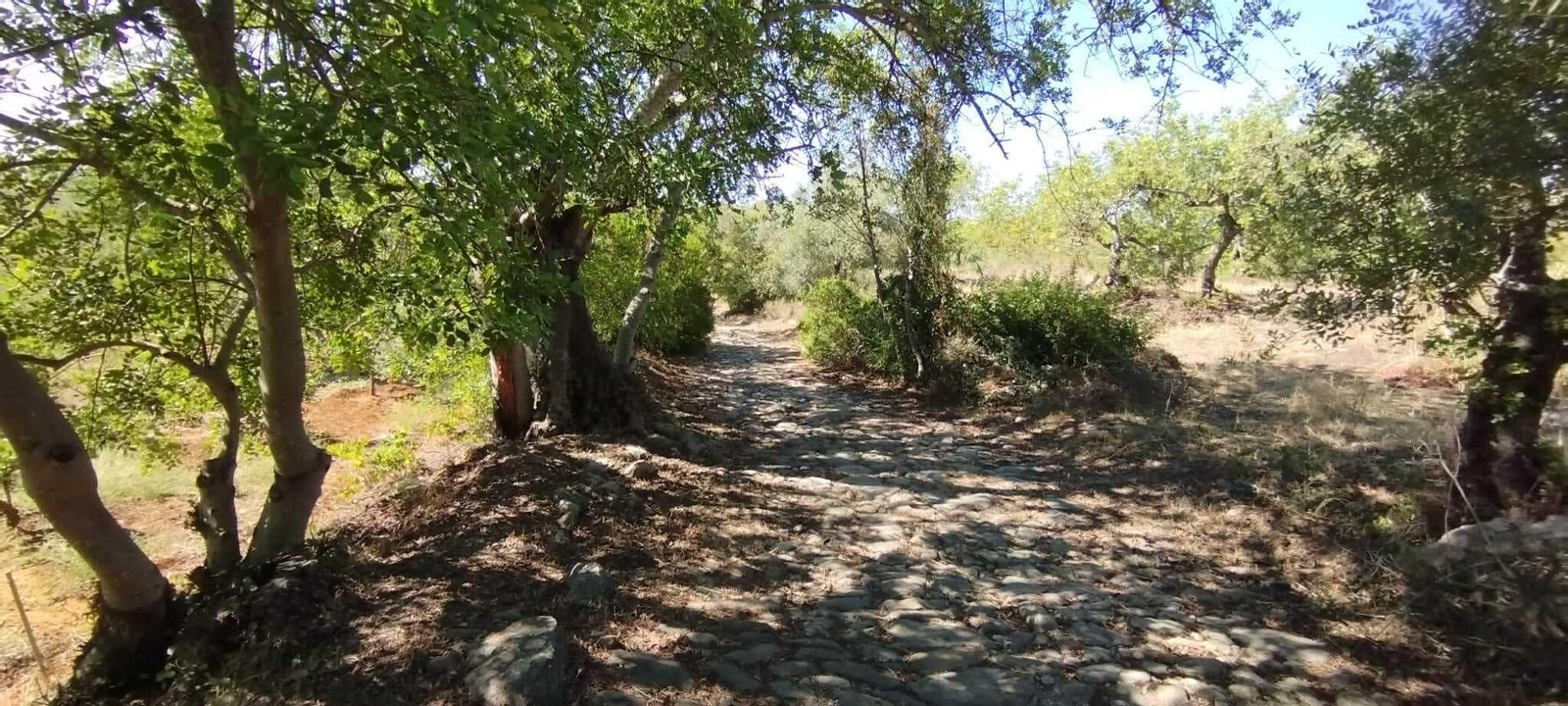 La Calçadinha Romana de São Brás de Alportel, un trozo de historia bajo tus pies