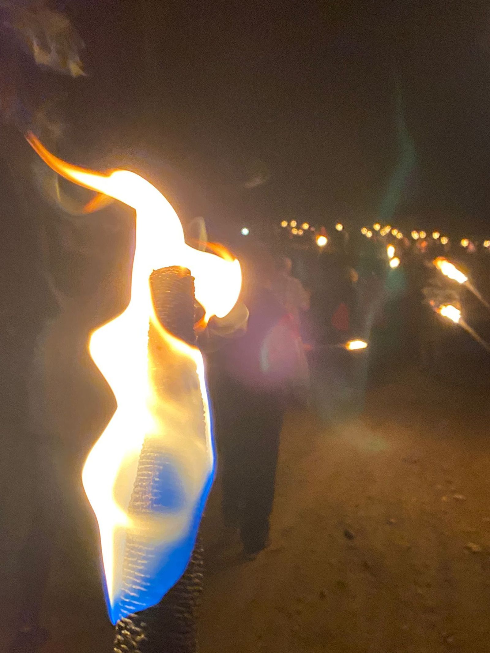 Así fue la Romería de San Torcuato de Guadix, las imágenes