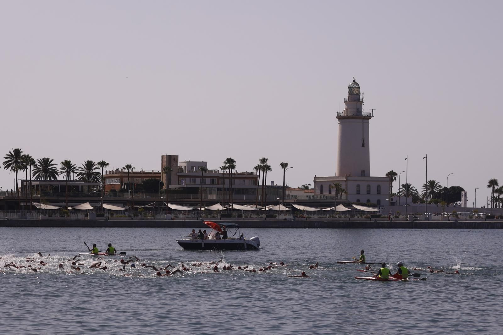 La travesía a nado del puerto de Málaga, en imágenes
