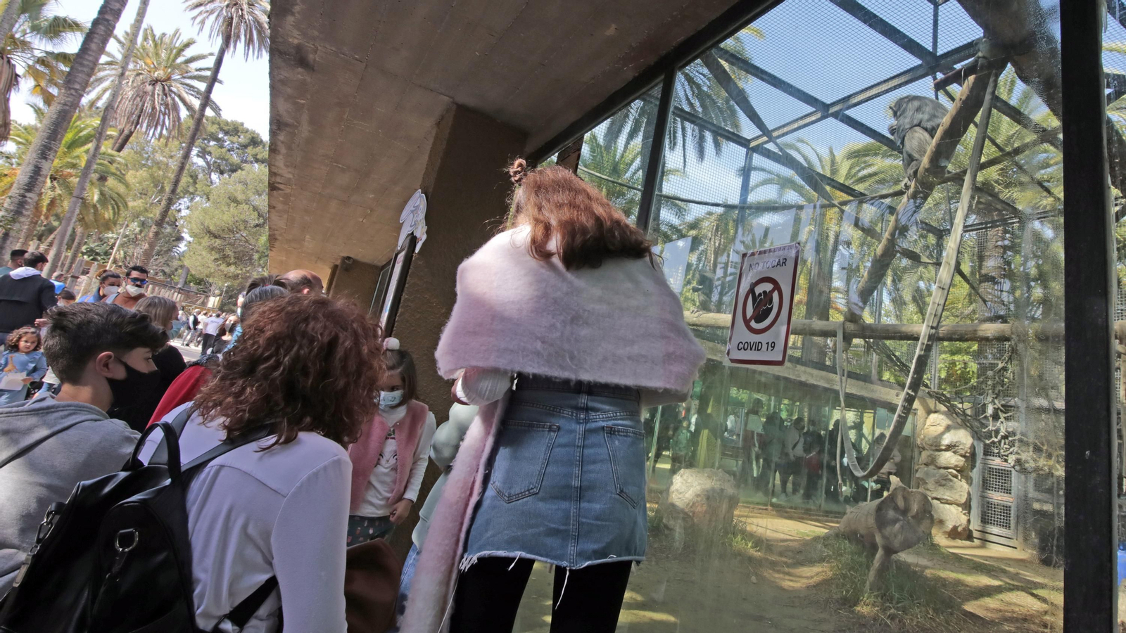 69 aniversario del Zoo de Jerez