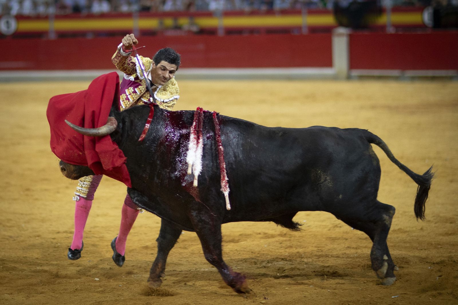 El Fandi vuelve a deleitar ante su afición