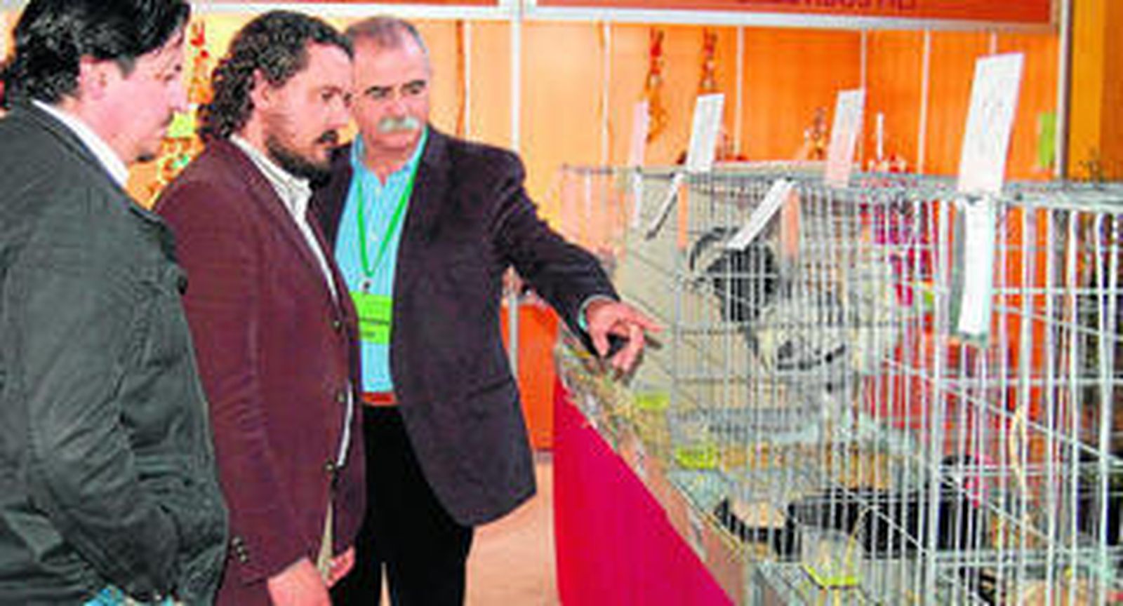 Una veintena de corrales exponen sus mejores aves