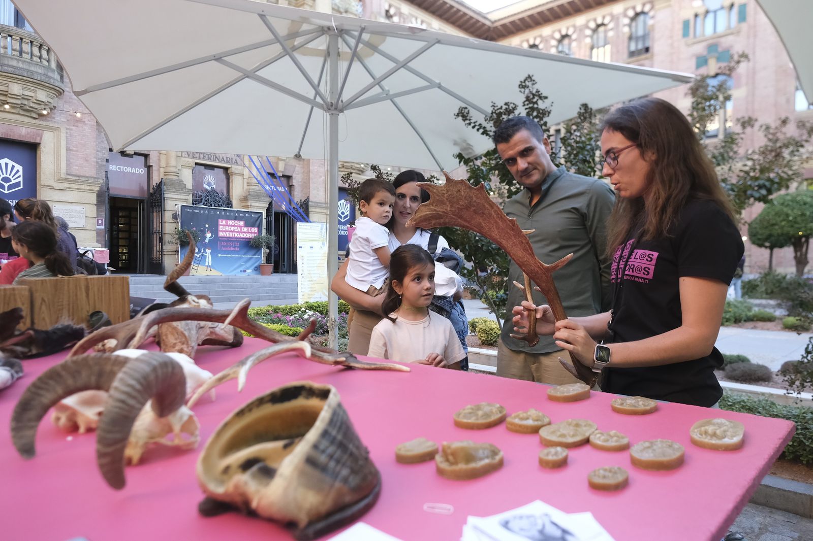 La celebración de la Feria de los Ingenios de Córdoba, en fotografías