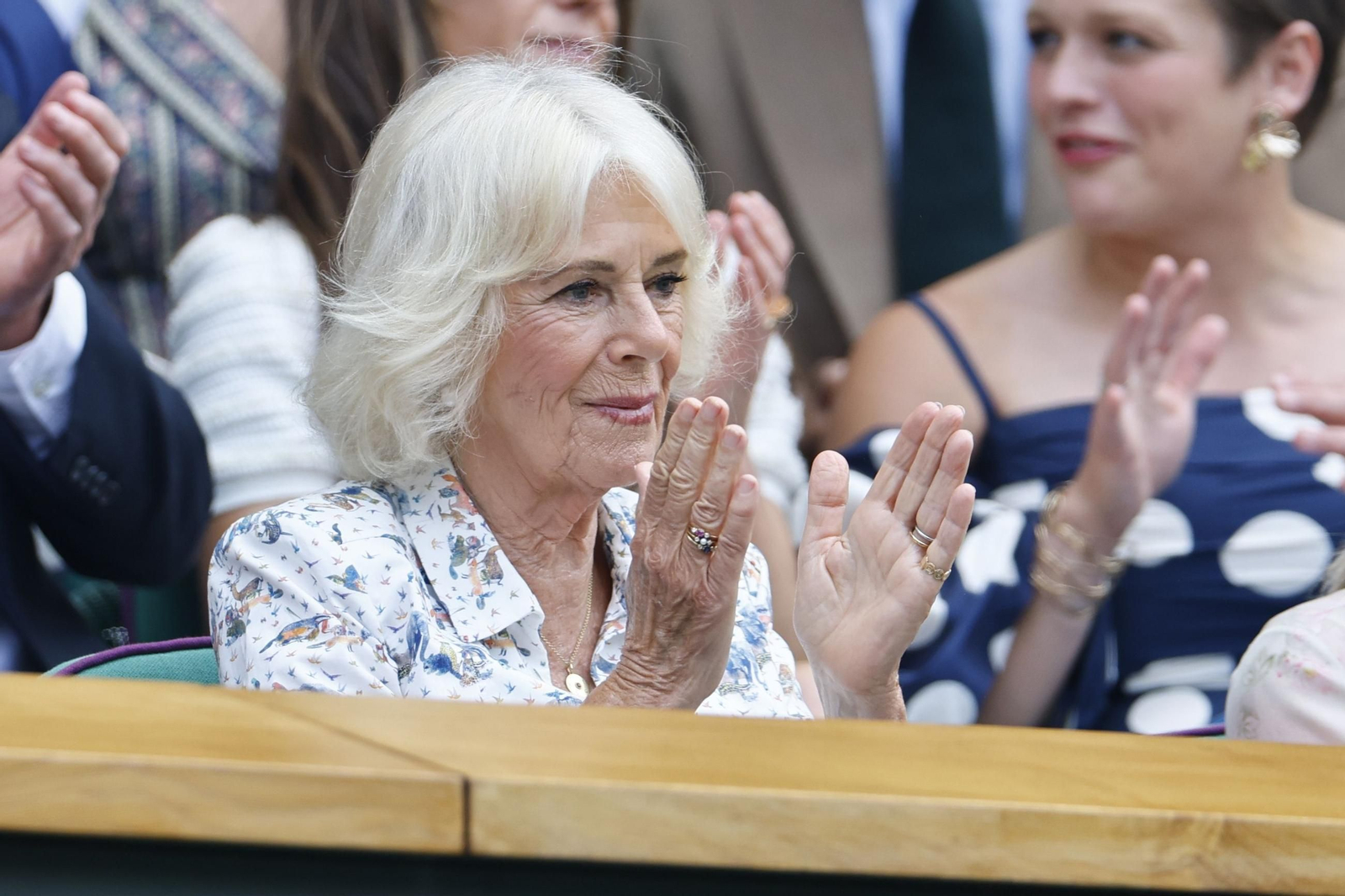 Las fotos de Wimbledon con las clasificaciones de Djokovic y Sinner