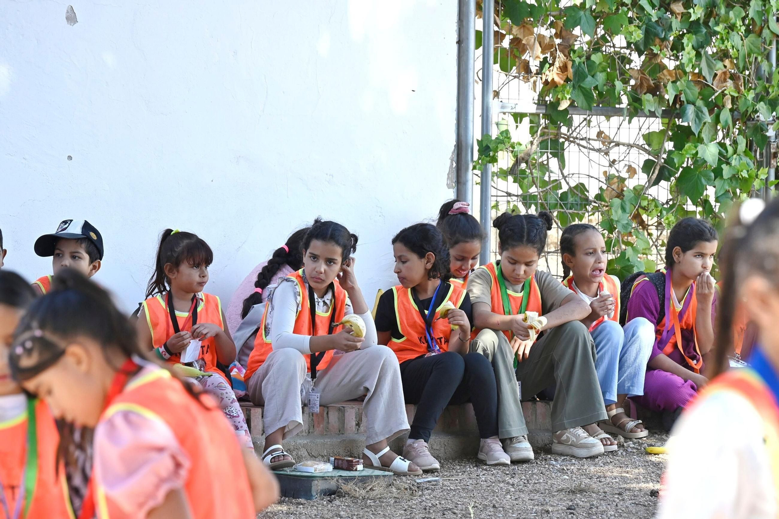La llegada de los niños saharauis a Córdoba, en imágenes